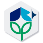 EP Solution - Valuable client of Organic SEO Guru